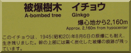 Anraku: Ginkgo plaque