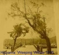 Hijiyama: Weeping Willow in 1945