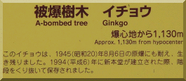 Hosen-ji: Ginkgo plaque