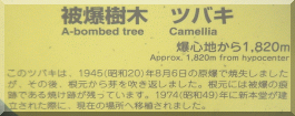 Hoshoin: Camellia plaque