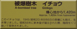 Josei-ji: Ginkgo plaque
