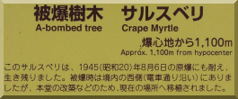 Zensho-ji: Crape Myrtle plaque