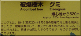 Seiju-ji: Elaeagnus Tree Plaque
