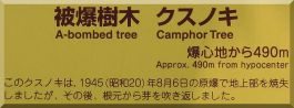 Shirakami-jinja: Camphor plaque