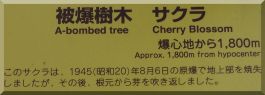 Ikari-jinja: Cherry treee plaque