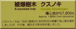 Ikari-jinja: Persea tree plaque