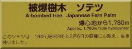 Myojoin-ji: Japanese Fern Palm plaque