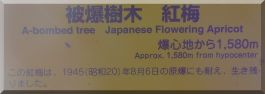 Tokuo-ji Apricot plaque