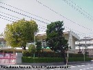 fukushima-ns_juniper002.jpg (28289 bytes)