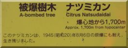 Komyoin: Citrus Natsudaidai plaque