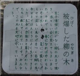 Minami Elementary School: Weeping Willow plaque