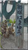Peace Park: Crinum plaque
