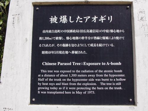 Peace Park: Chinese Parasol plaque