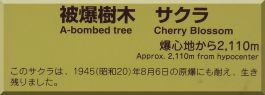 Yasuda School: Cherry Blossom plaque