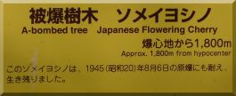Rai Sanyo Buntokuden Hall: Cherry blossom plaque