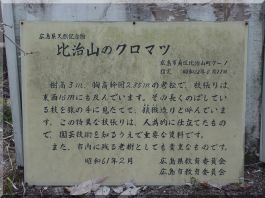 Rai Sanyo Buntokuden hall: Japanese Black Pine plaque