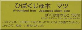 Senda Elementary School: Japanese Black Pine tree plaque